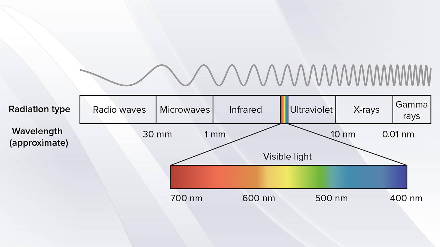 How much do you know about laboratory spectrophotometers? - BIOBASE