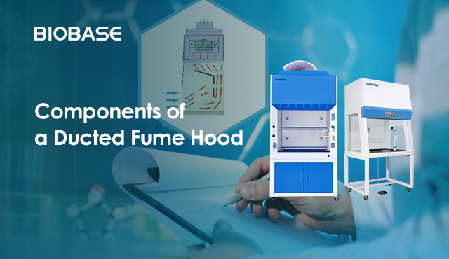 Components of a Ducted Fume Hood