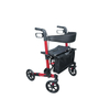 Multifunctional Shopping Cart