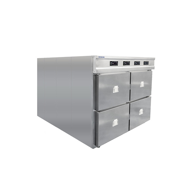 Morgue Freezer 