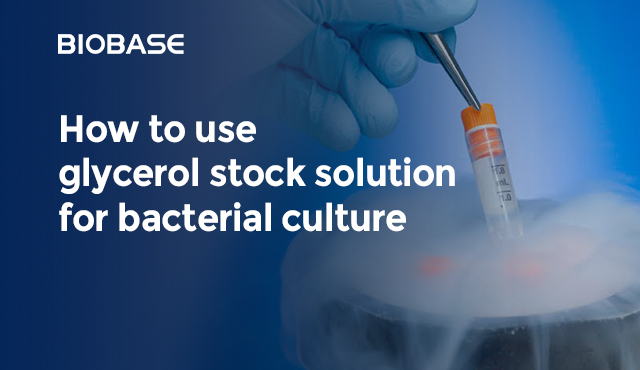How to use glycerol stock solution for bacterial culture