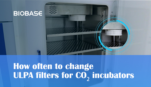 How often to change ULPA filters for CO₂ incubators