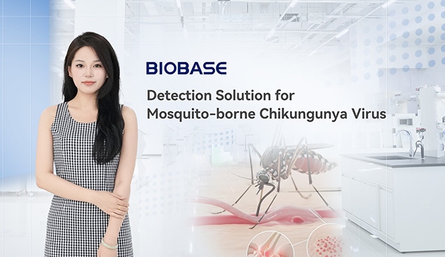 BIOBASE Launches Detection Solution for Mosquito-borne Chikungunya Virus