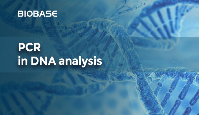 PCR in DNA analysis