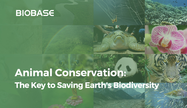 Wildlife Conservation: The Importance of Saving Earth's Biodiversity news -  BIOBASE