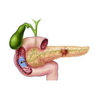 Pancreas Items