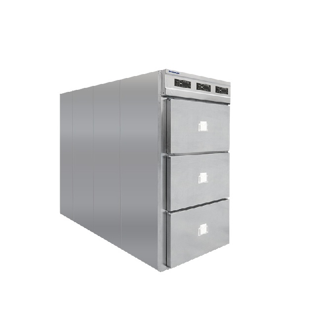 Morgue Freezer 