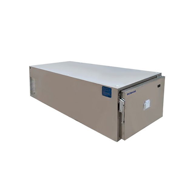 Morgue Freezer 