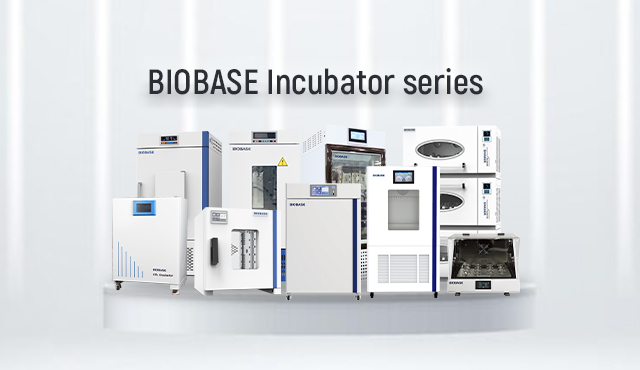 Choose a professional laboratory incubator please look for BIOBASE!
