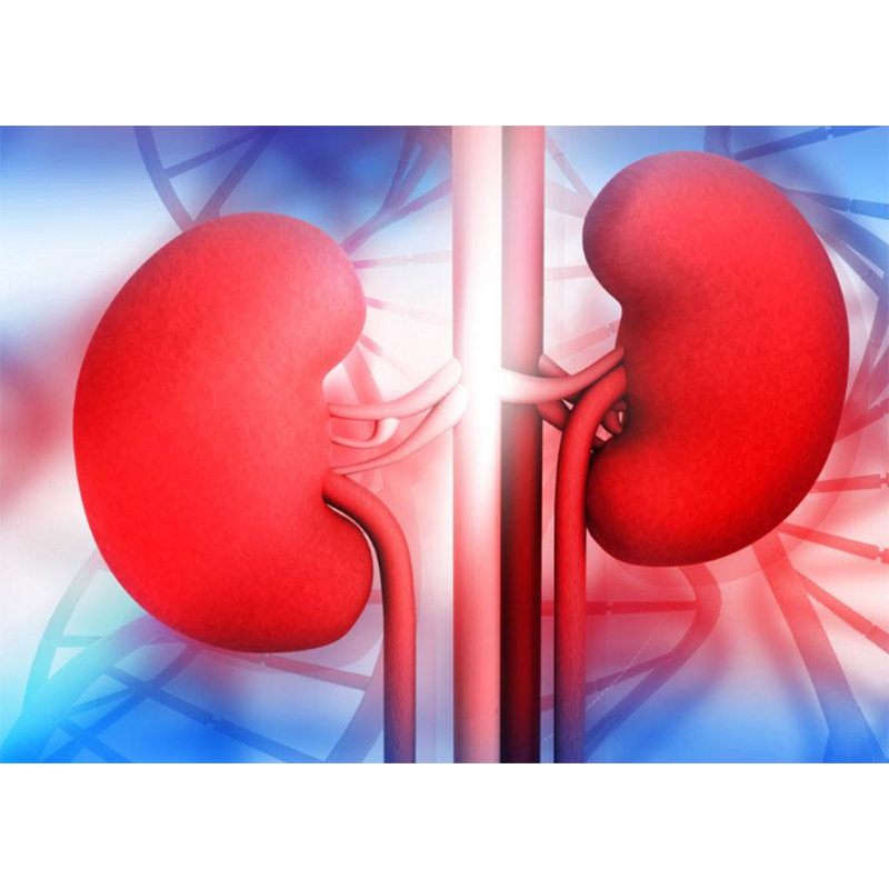 Kidney Function Items