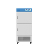 Multi-chamber Constant Temperature Incubator BJPX-H150-2C BJPX-H100-4C