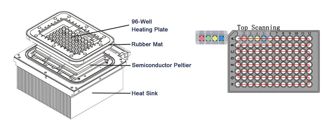 Fluorescent Quantitative Detection System02