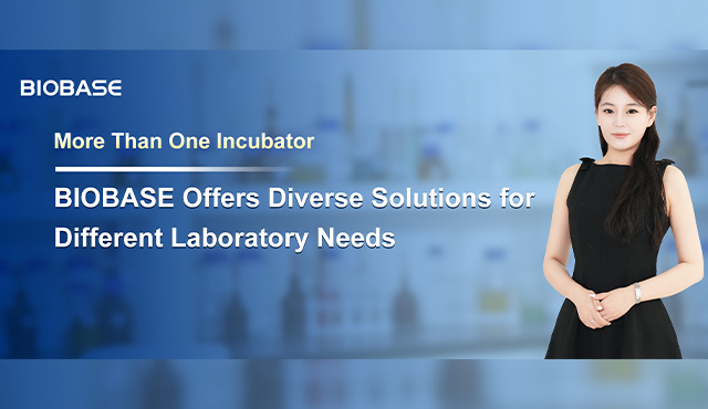 More Than One Incubator: BIOBASE Offers Diverse Solutions for Different Laboratory Needs